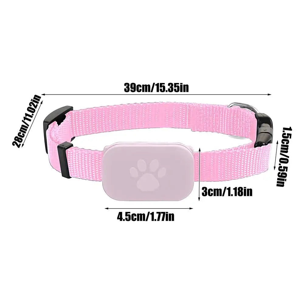 GPS Cat Collar – Safety, Freedom & Peace of Mind 🐾📍