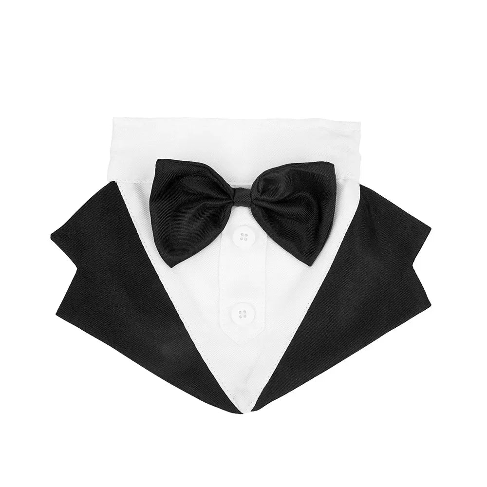 Dog Tuxedo Suit – Formal, Stylish & Absolutely Adorable