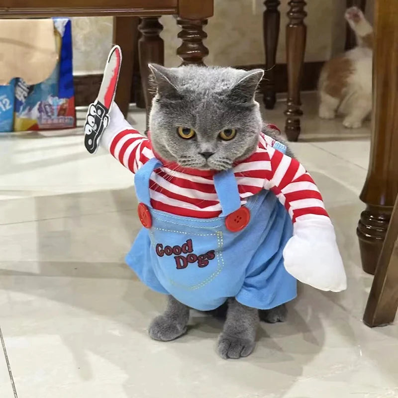 Funny Cat Halloween Costume – Spooky & Adorable