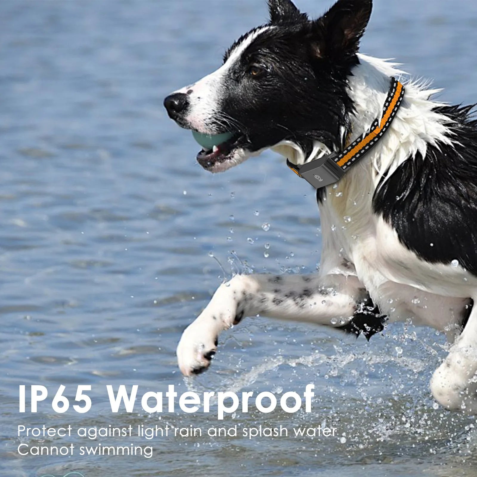 4G GPS Dog Tracker Collar – Real-Time Safety & Peace of Mind 📍🐾