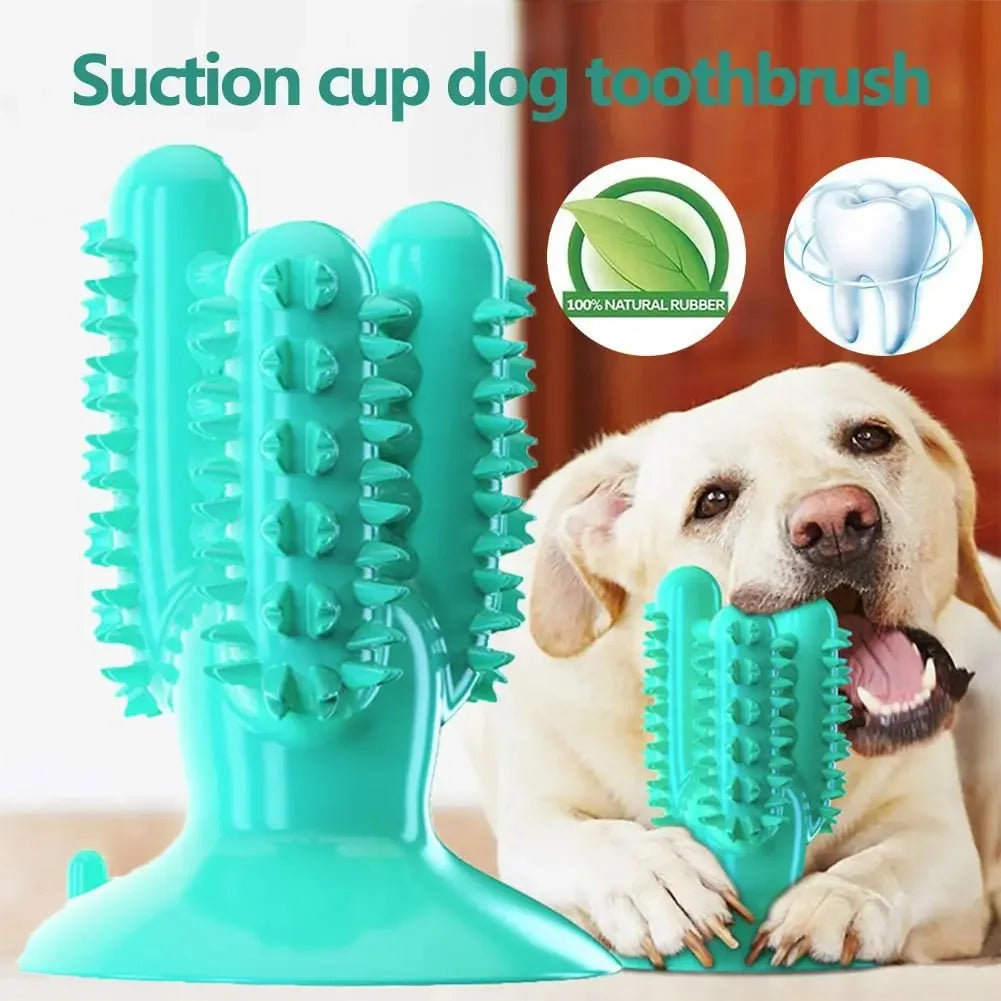 Smart Chew Toothbrush Toy – Play & Clean in One