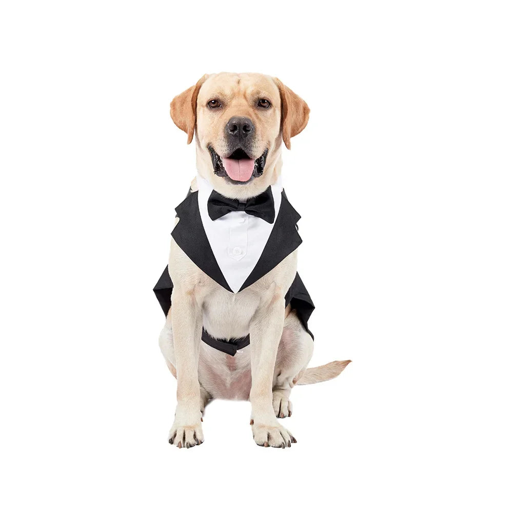 Dog Tuxedo Suit – Formal, Stylish & Absolutely Adorable