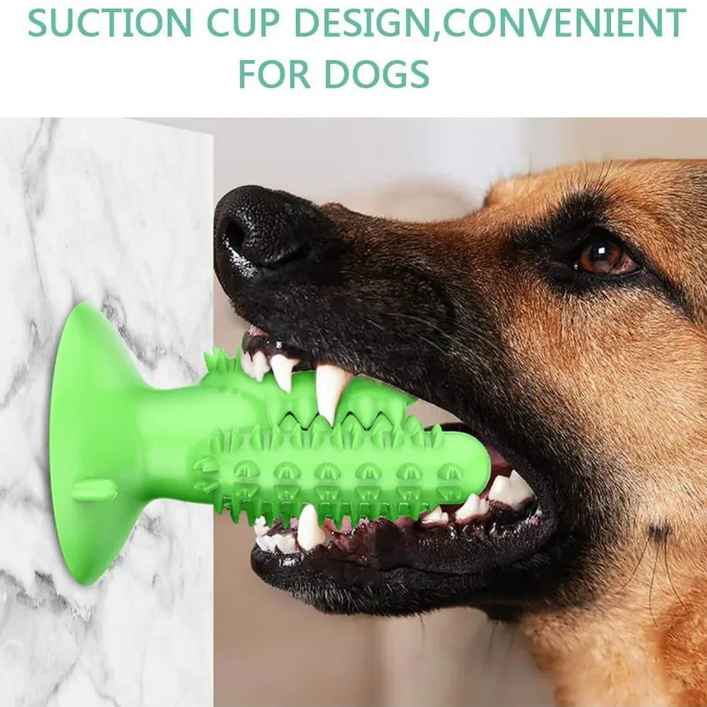 Smart Chew Toothbrush Toy – Play & Clean in One