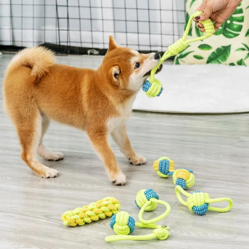 Tough Chew & Play Toy – Built for Endless Fun