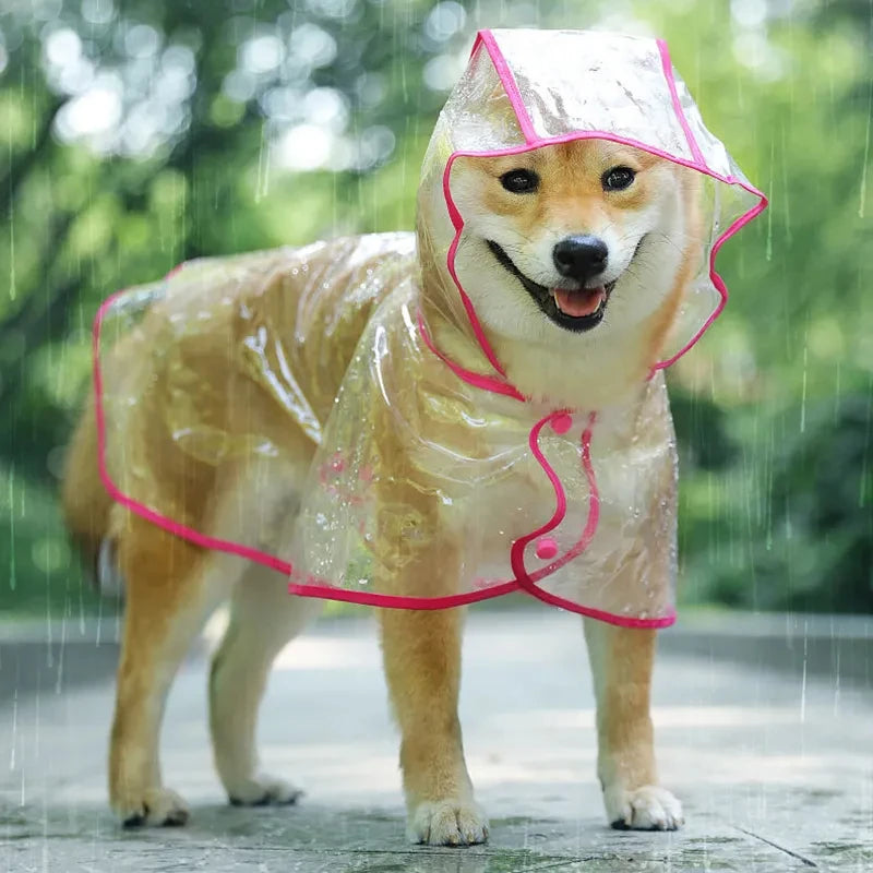 Transparent Pet Raincoat – Stay Dry in Style ☔🐾