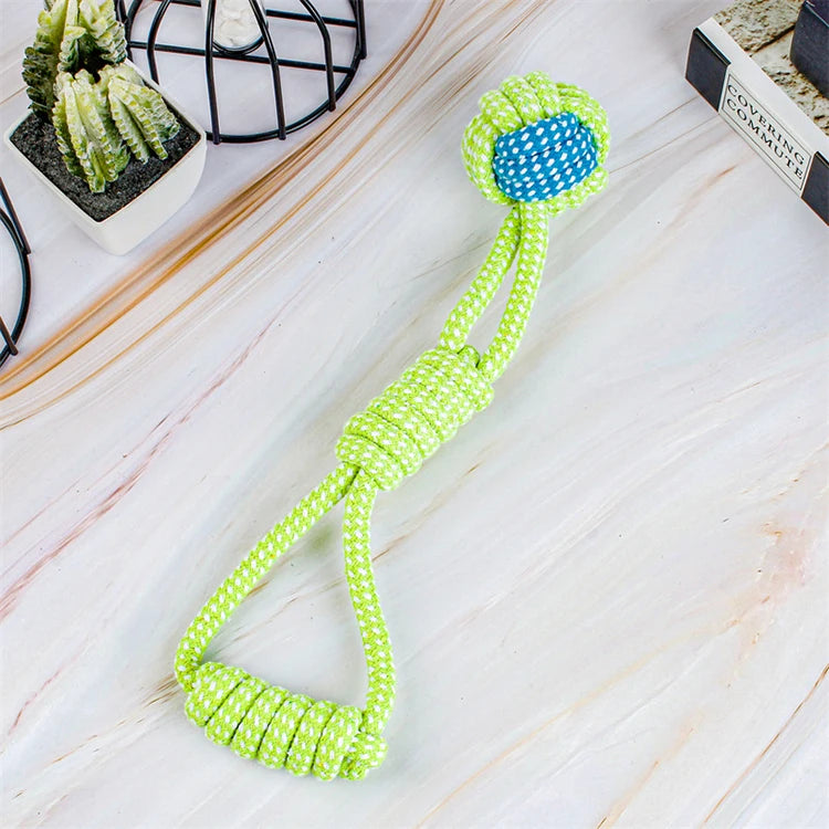 Tough Chew & Play Toy – Built for Endless Fun
