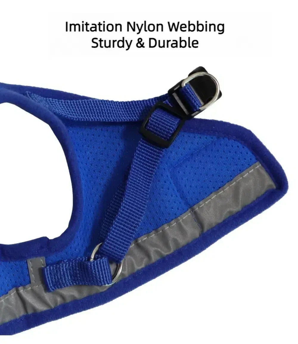 Reflective Cat Harness & Leash Set – Safe Adventures Day & Night 🌙🐾