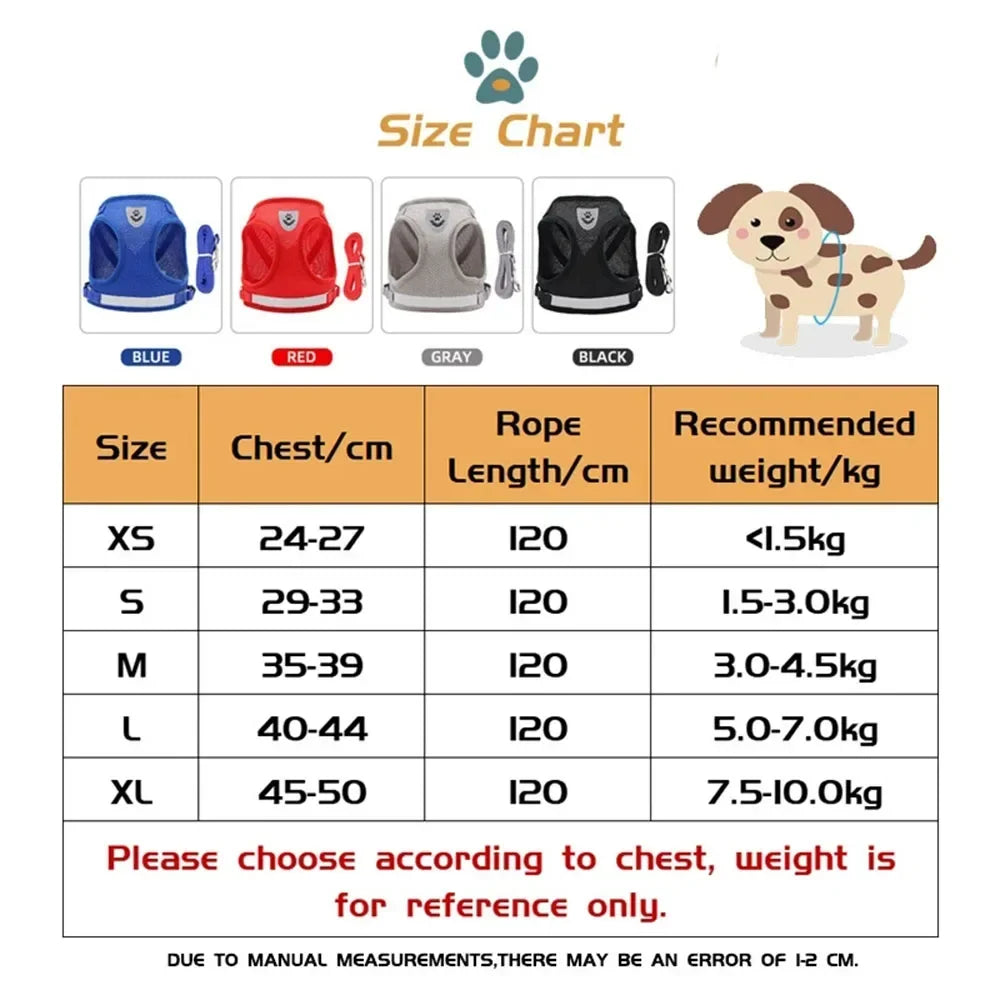 Reflective Cat Harness & Leash Set – Safe Adventures Day & Night 🌙🐾