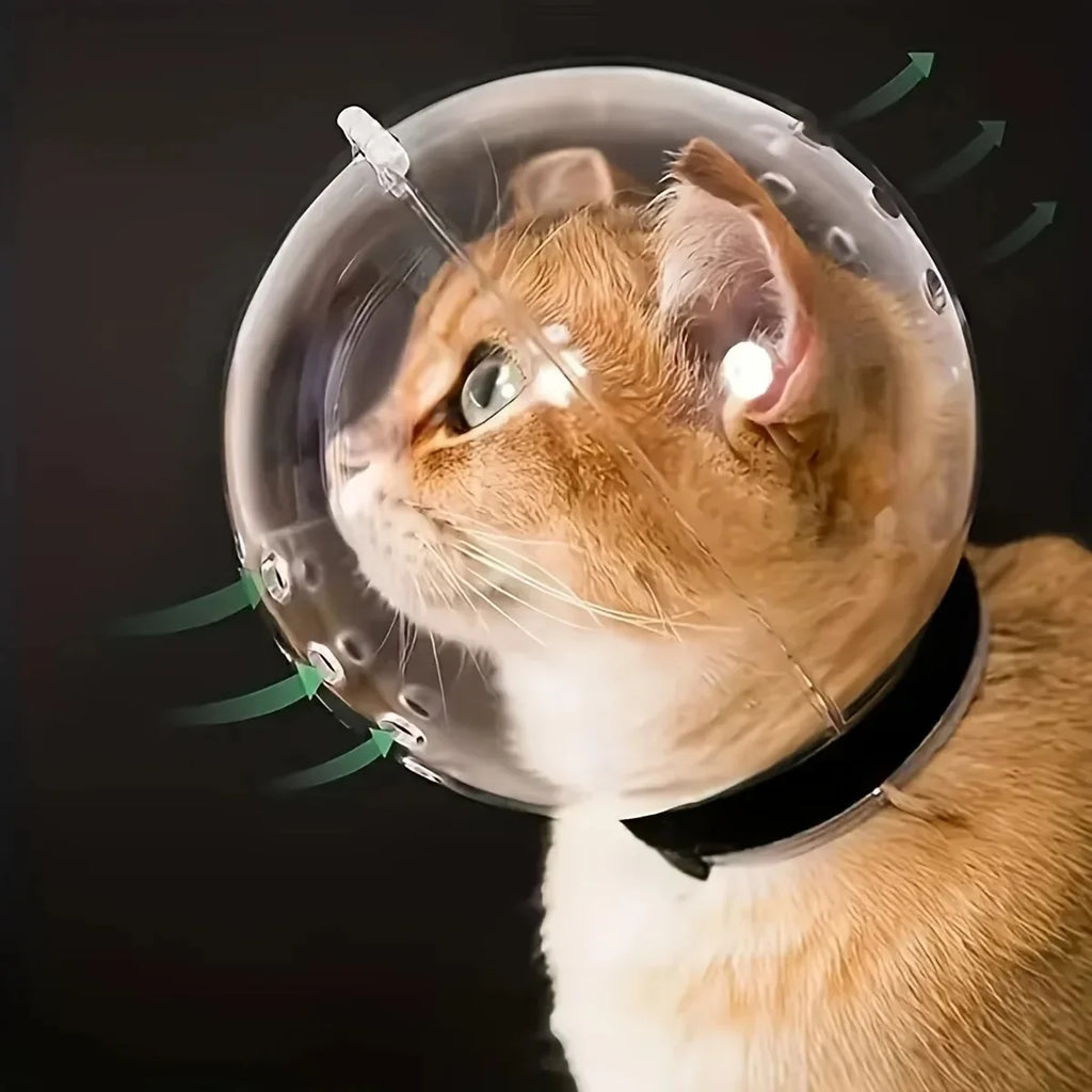 Keep your cat safe & stress-free!