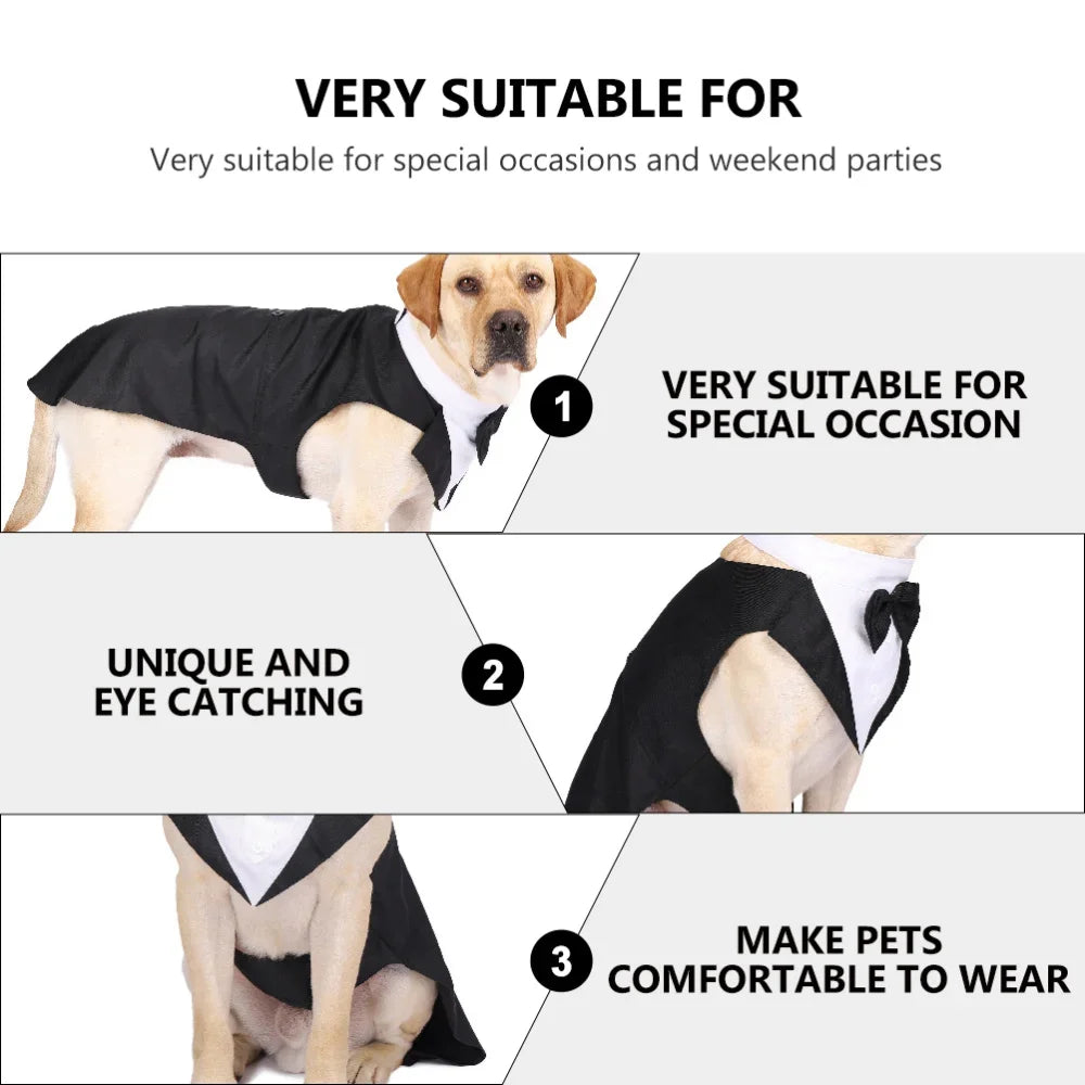 Dog Tuxedo Suit – Formal, Stylish & Absolutely Adorable