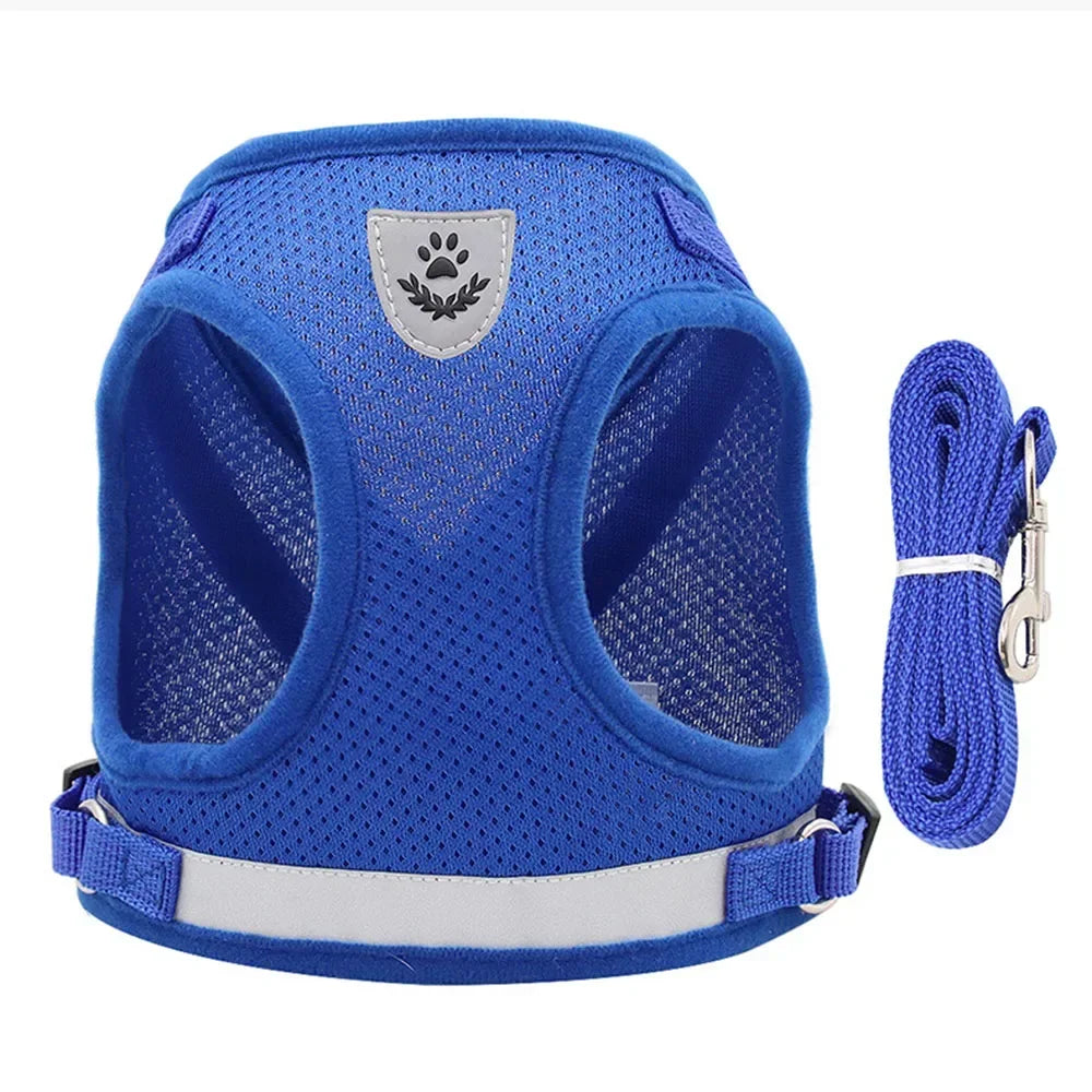 Reflective Cat Harness & Leash Set – Safe Adventures Day & Night 🌙🐾