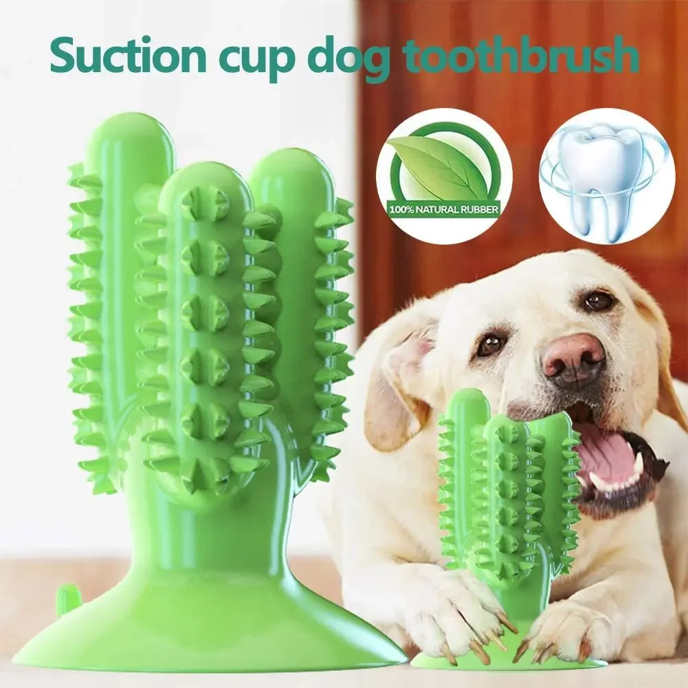 Smart Chew Toothbrush Toy – Play & Clean in One