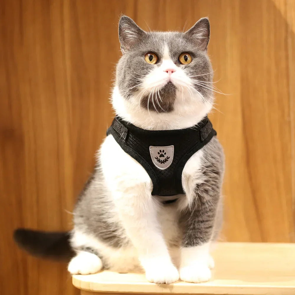 Reflective Cat Harness & Leash Set – Safe Adventures Day & Night 🌙🐾