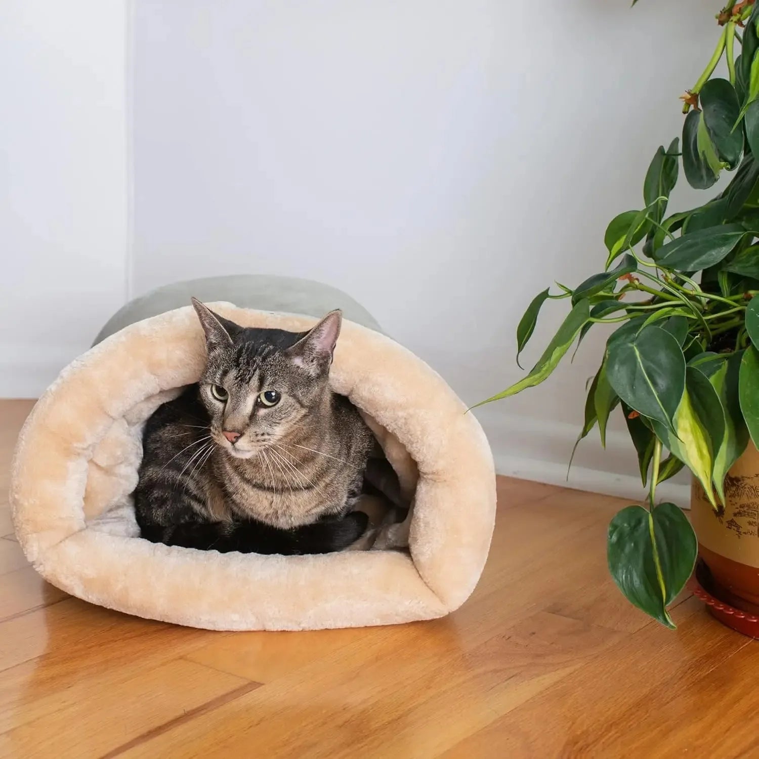 Cozy Cat Bed Basket – The Perfect Resting Spot for Your Feline