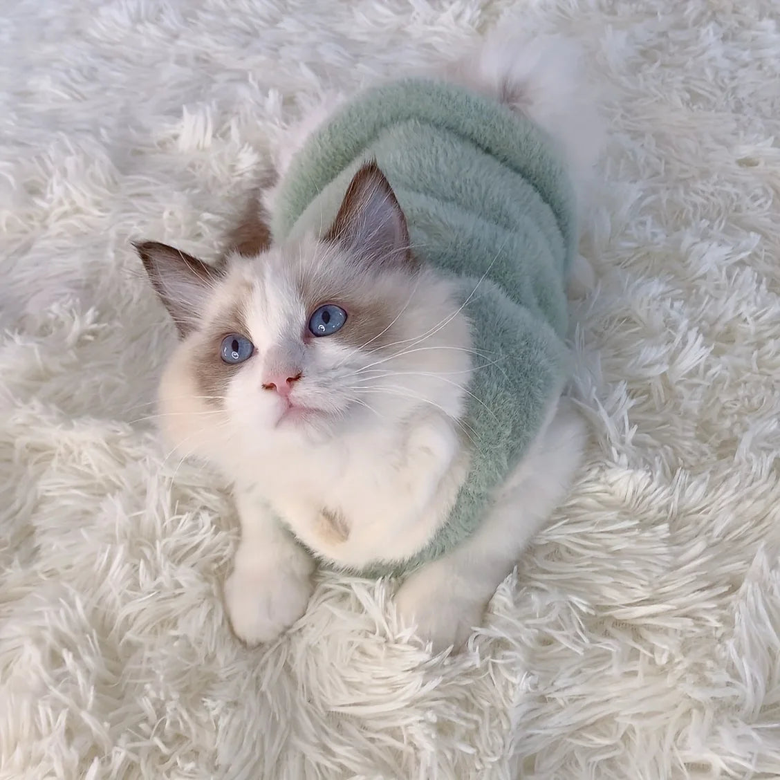 Plush Winter Sweater for Cats – Cozy, Cute & Comfy