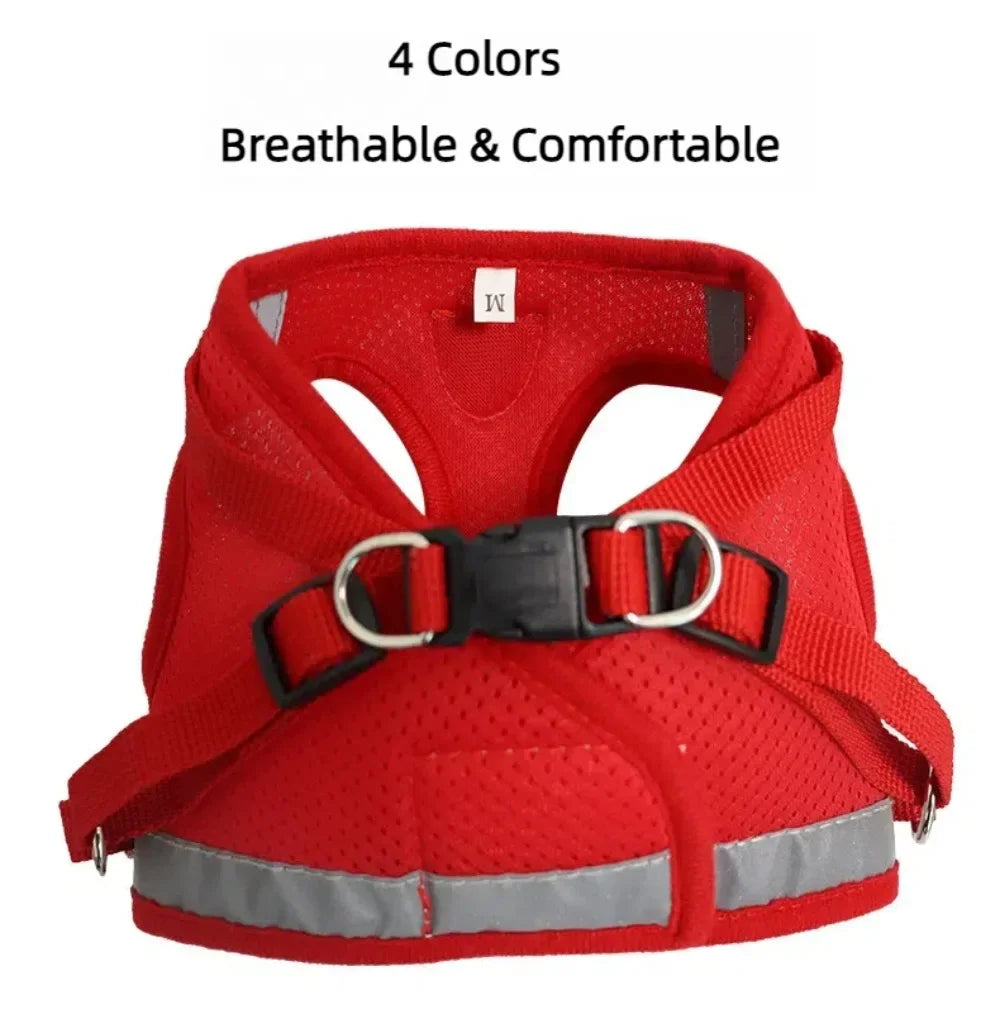 Reflective Cat Harness & Leash Set – Safe Adventures Day & Night 🌙🐾