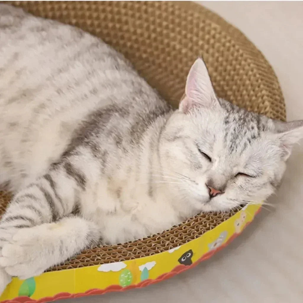 Oval Cat Scratching Board – Play, Rest & Protect Your Furniture 🐾✨