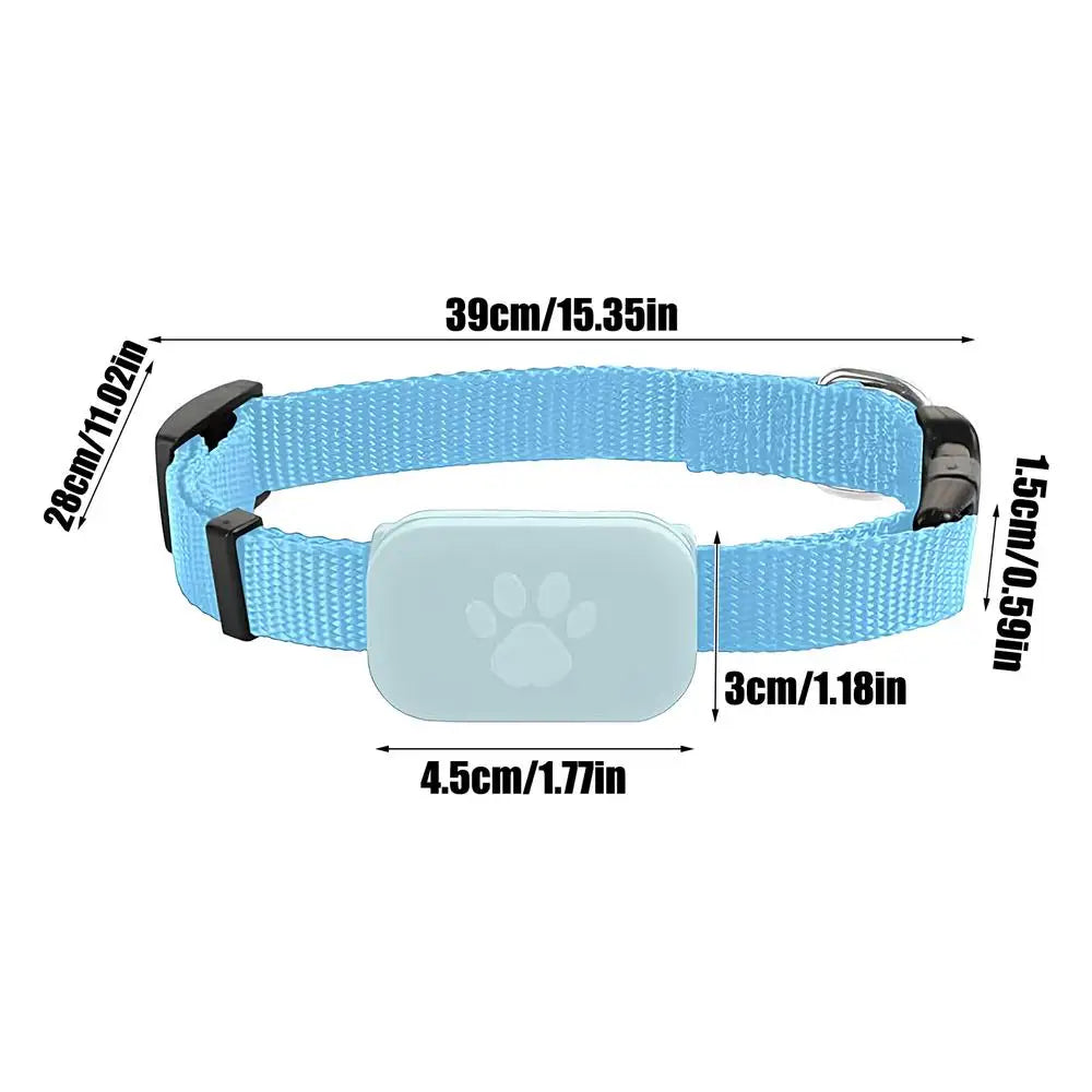 GPS Cat Collar – Safety, Freedom & Peace of Mind 🐾📍