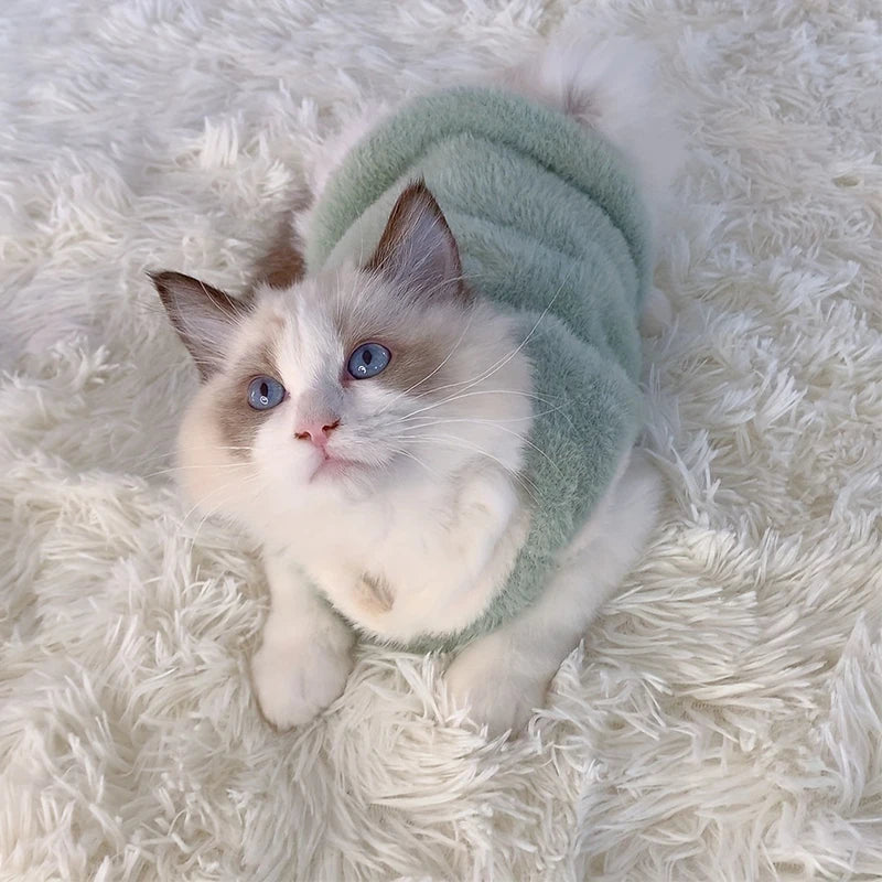 Plush Winter Sweater for Cats – Cozy, Cute & Comfy