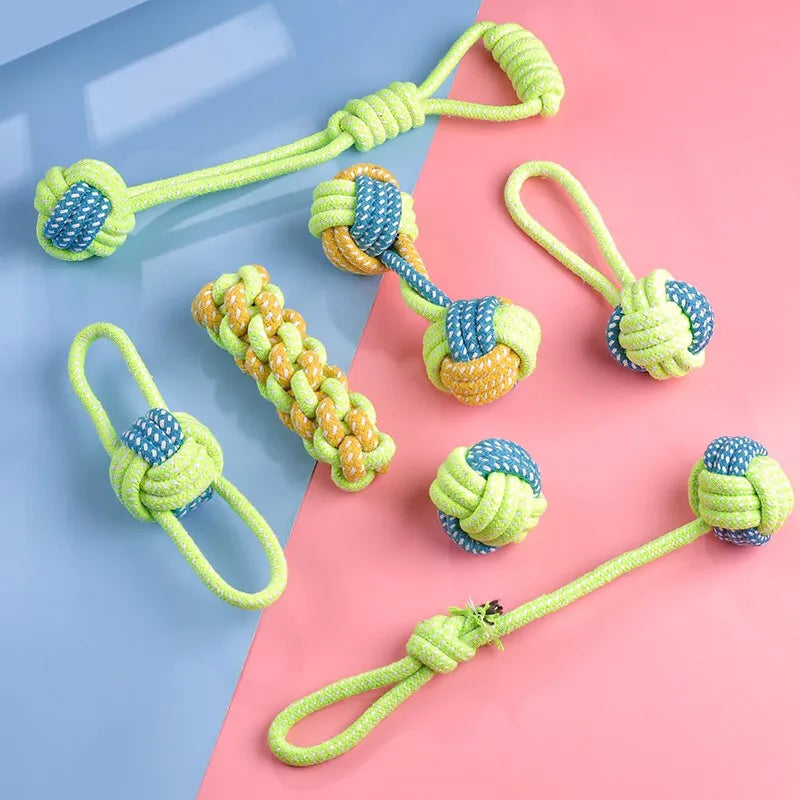 Tough Chew & Play Toy – Built for Endless Fun