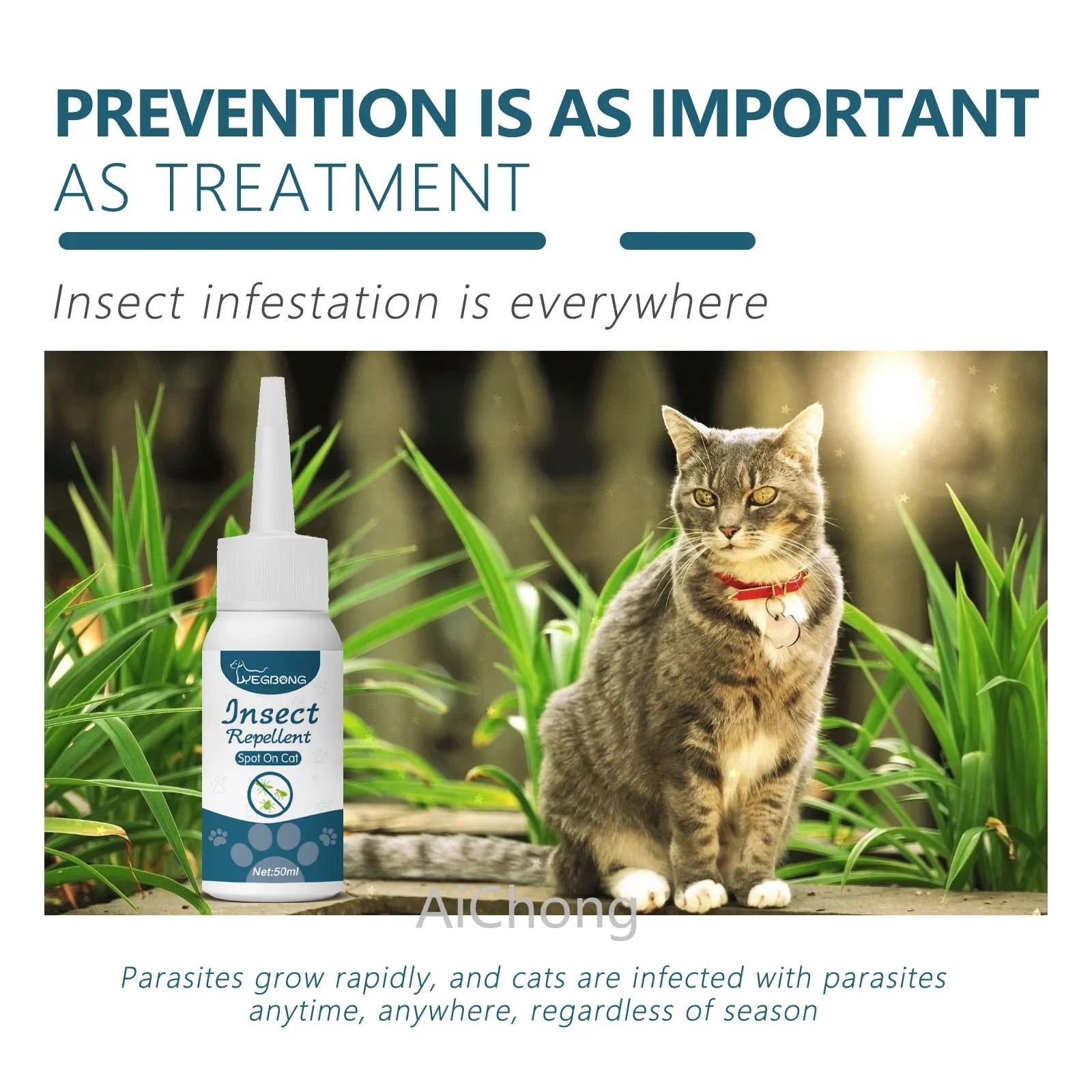 Protect Your Cat from Parasites – Naturally & Effectively!