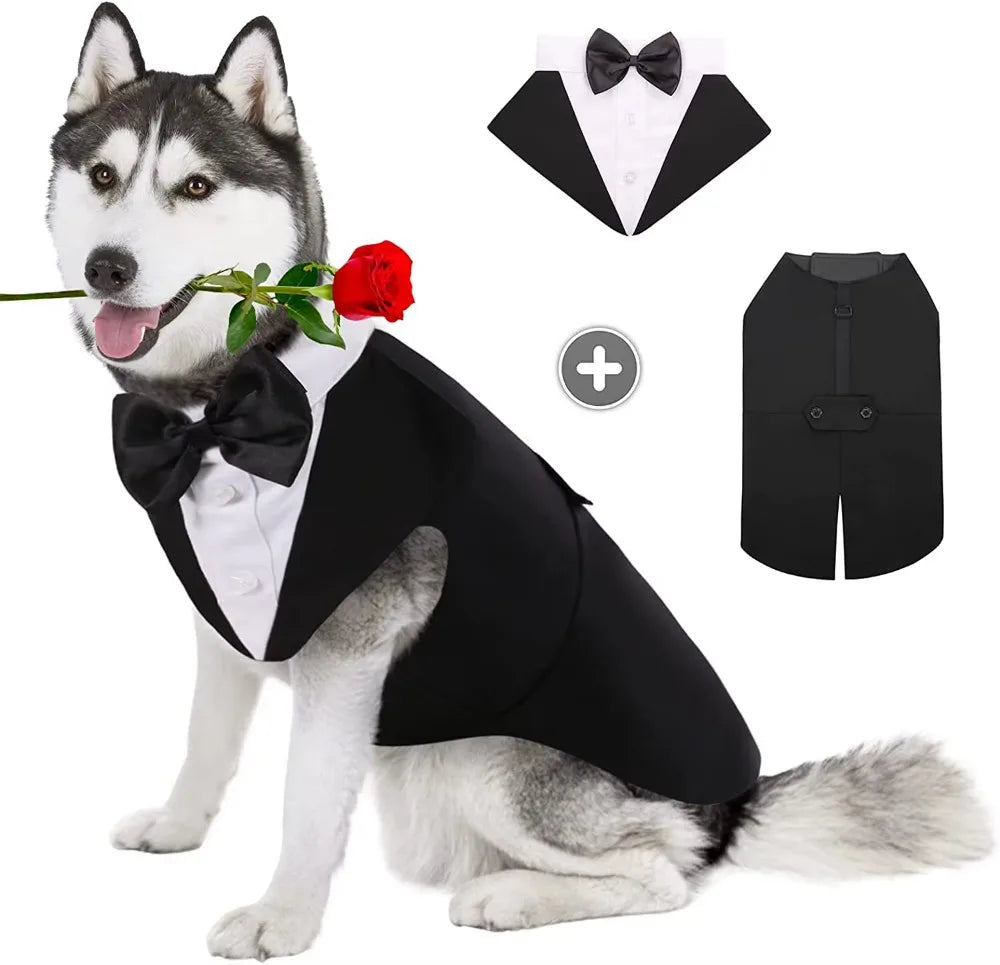 Dog Tuxedo Suit – Formal, Stylish & Absolutely Adorable