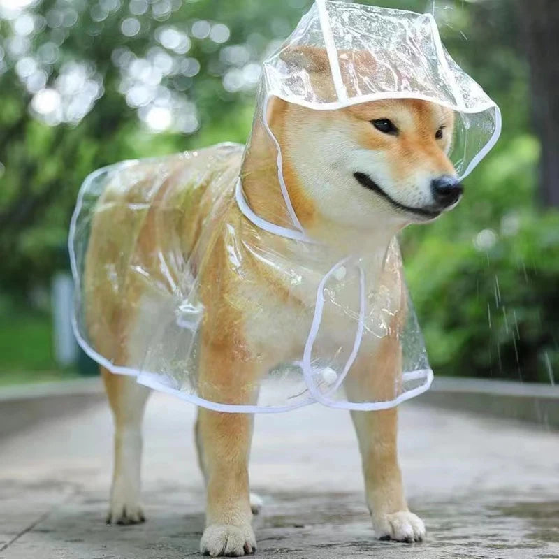 Transparent Pet Raincoat – Stay Dry in Style ☔🐾