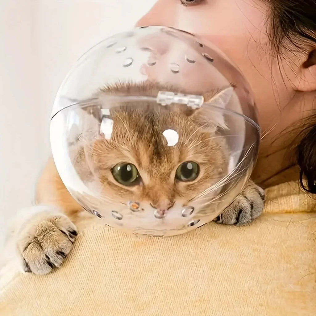 Keep your cat safe & stress-free!