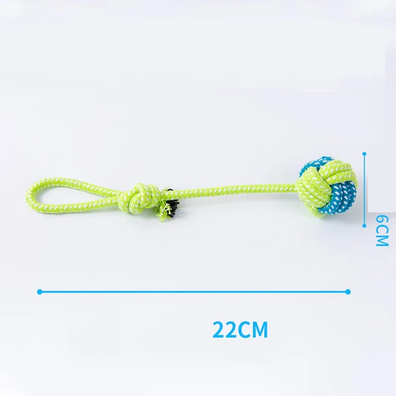 Tough Chew & Play Toy – Built for Endless Fun