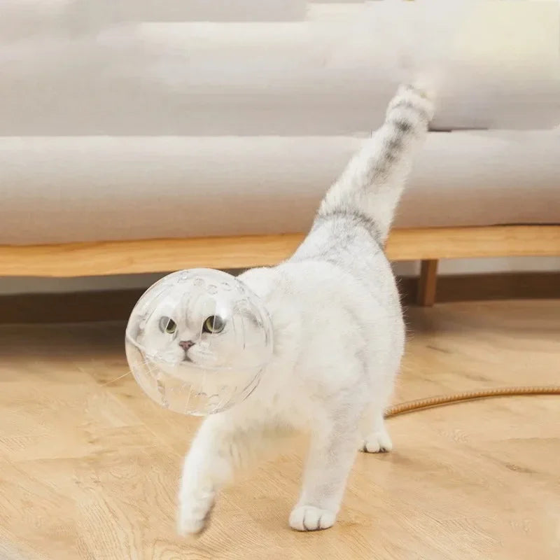 Keep your cat safe & stress-free!