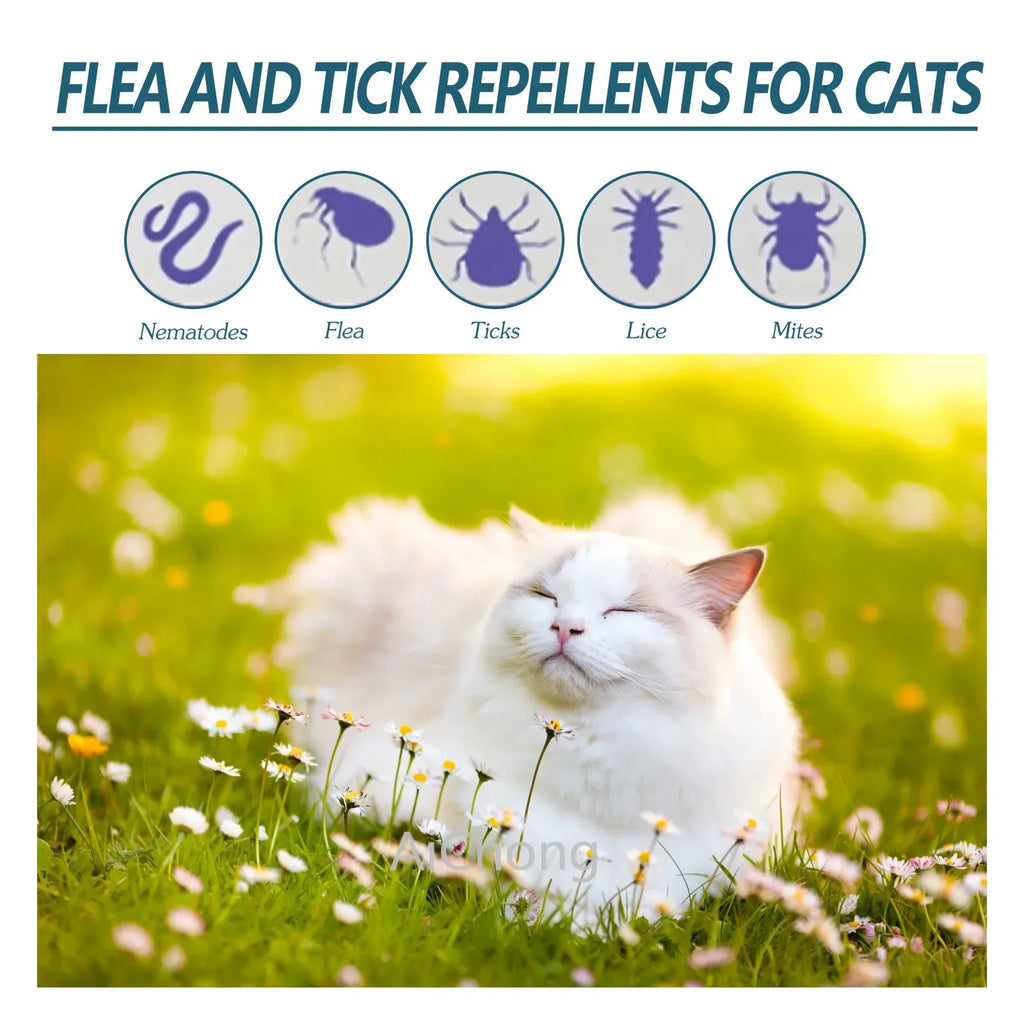Protect Your Cat from Parasites – Naturally & Effectively!