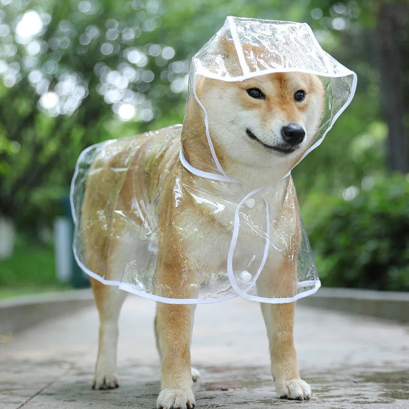 Transparent Pet Raincoat – Stay Dry in Style ☔🐾