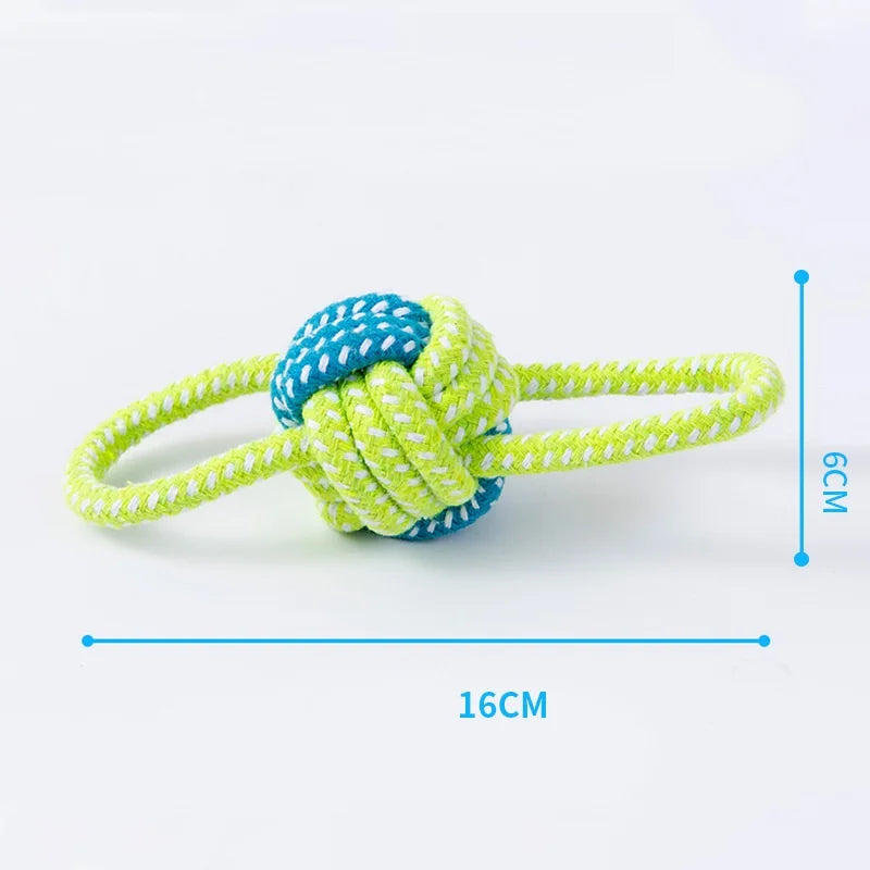 Tough Chew & Play Toy – Built for Endless Fun