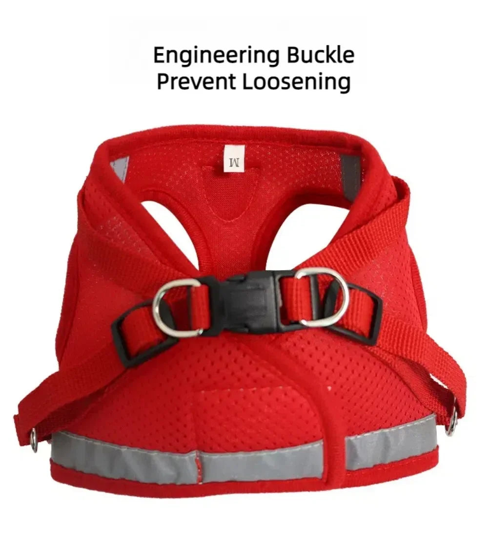 Reflective Cat Harness & Leash Set – Safe Adventures Day & Night 🌙🐾