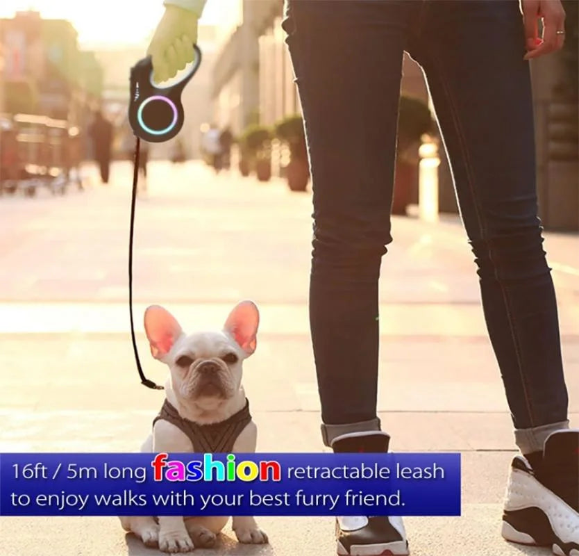 Retractable Dog Leash with LED Flashlight – Safe Walks Anytime 🌙🐾