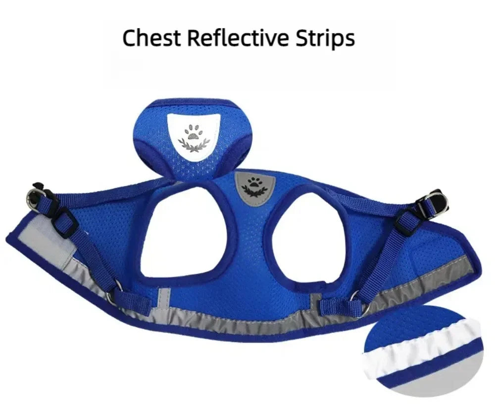 Reflective Cat Harness & Leash Set – Safe Adventures Day & Night 🌙🐾
