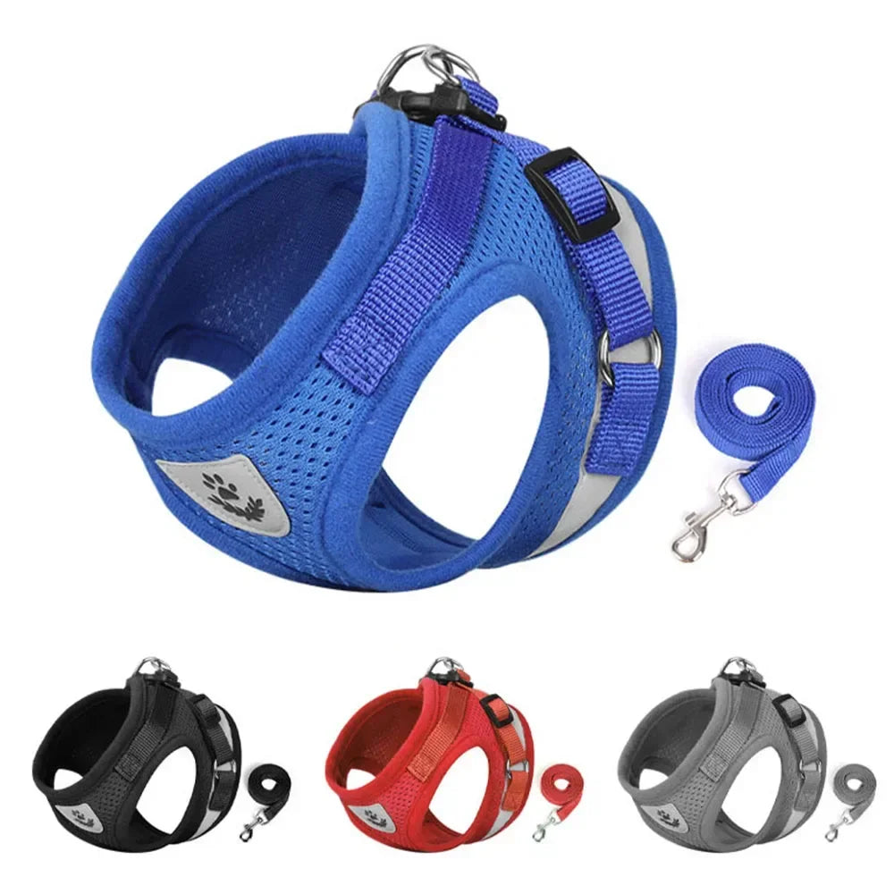Reflective Cat Harness & Leash Set – Safe Adventures Day & Night 🌙🐾