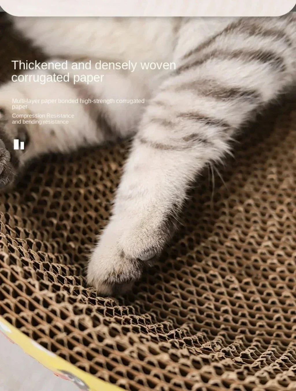 Oval Cat Scratching Board – Play, Rest & Protect Your Furniture 🐾✨