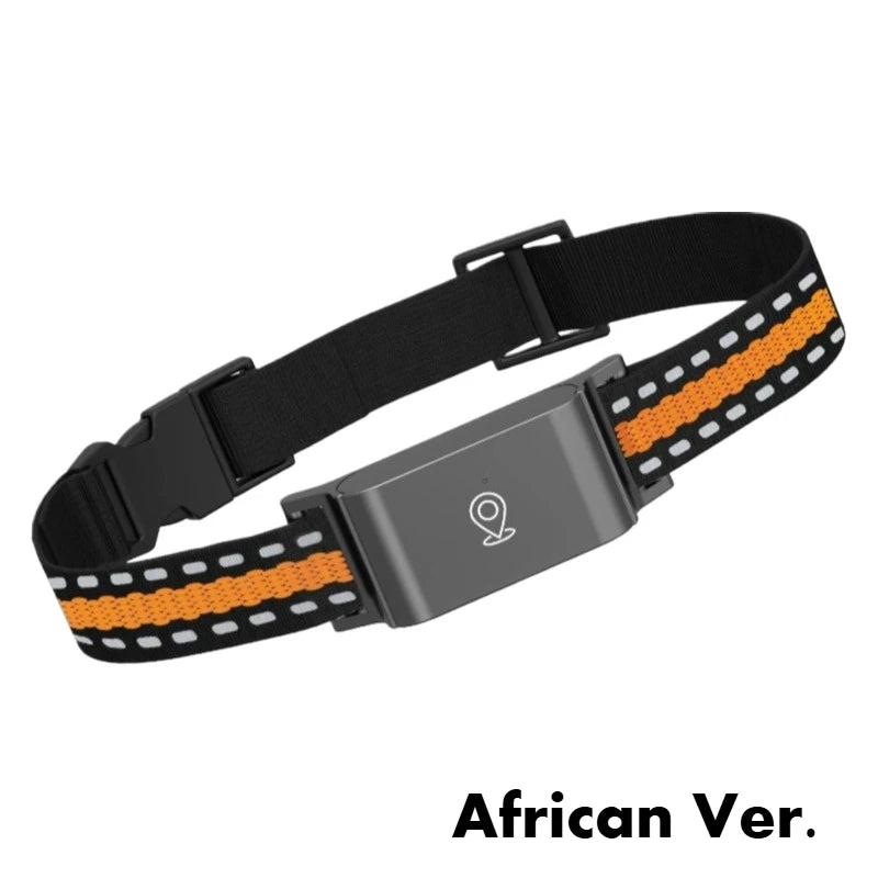 4G GPS Dog Tracker Collar – Real-Time Safety & Peace of Mind 📍🐾