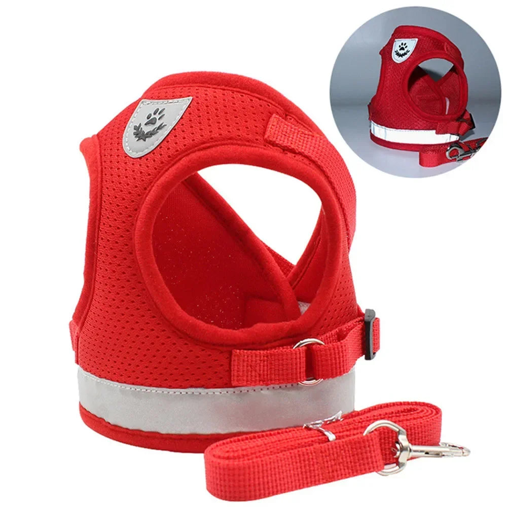 Reflective Cat Harness & Leash Set – Safe Adventures Day & Night 🌙🐾