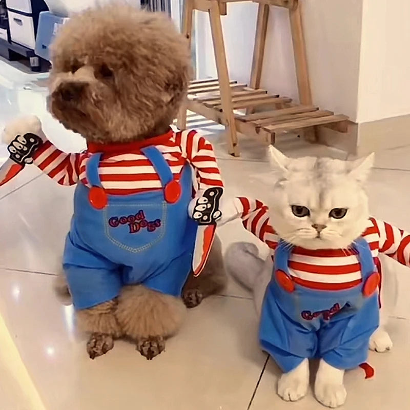 Funny Cat Halloween Costume – Spooky & Adorable
