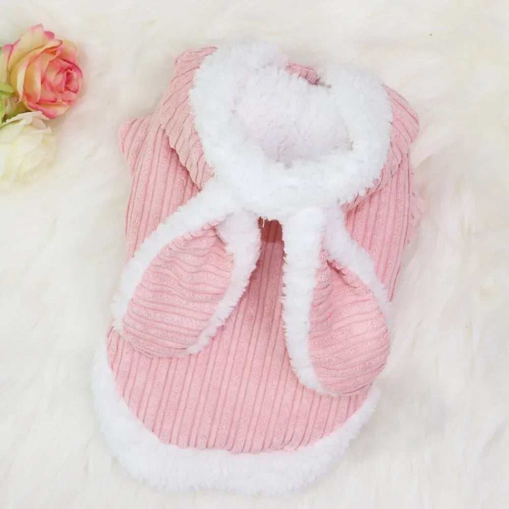 Lovable Cat Outfit – Cozy & Cute
