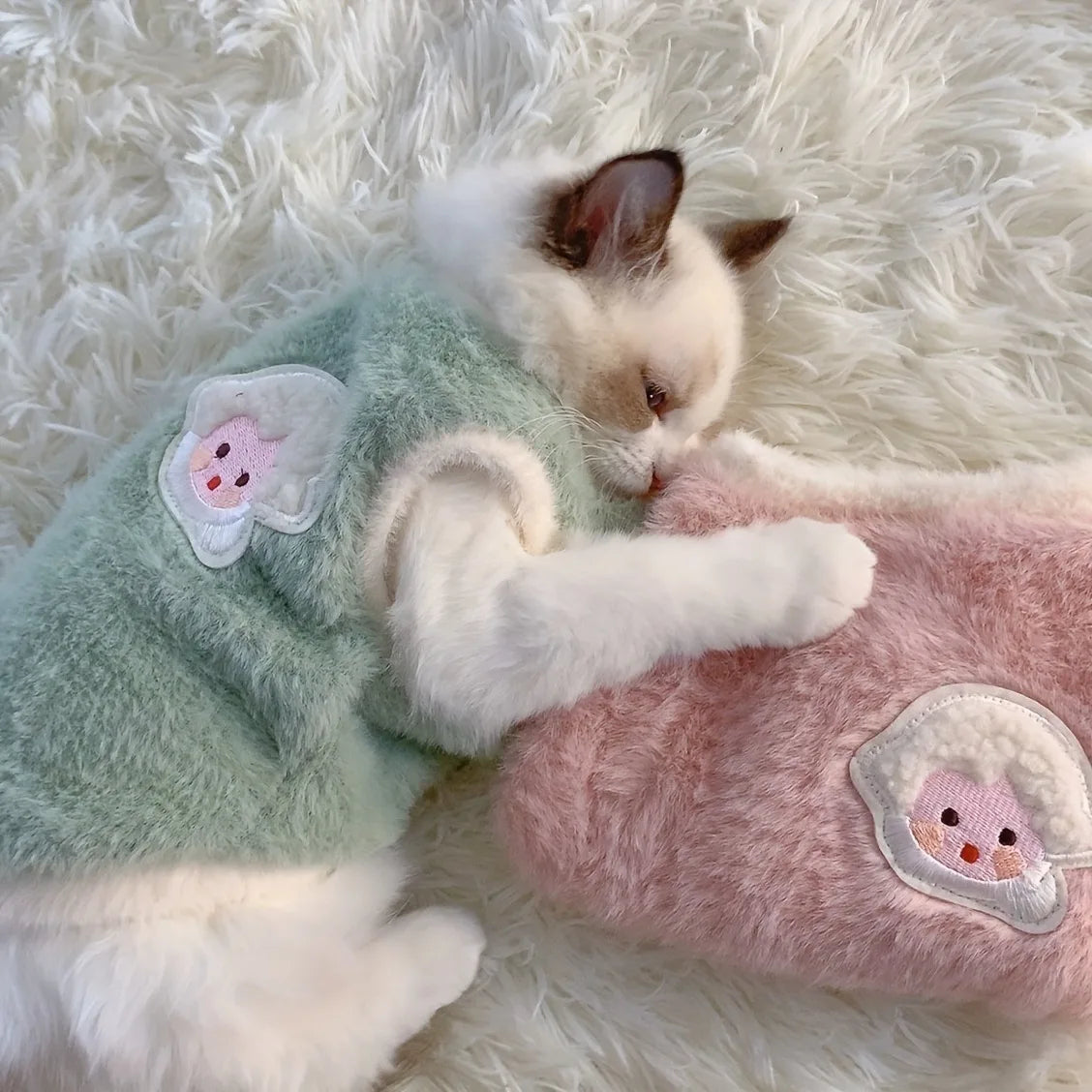 Plush Winter Sweater for Cats – Cozy, Cute & Comfy