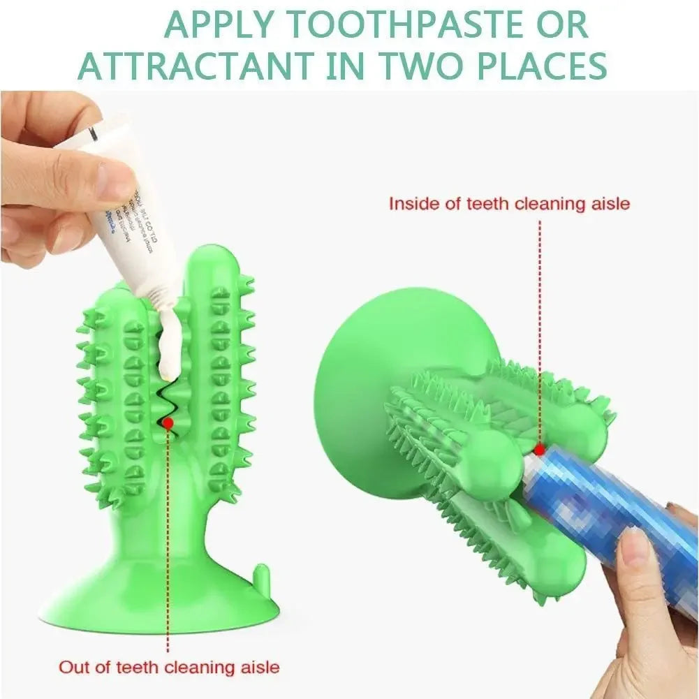 Smart Chew Toothbrush Toy – Play & Clean in One