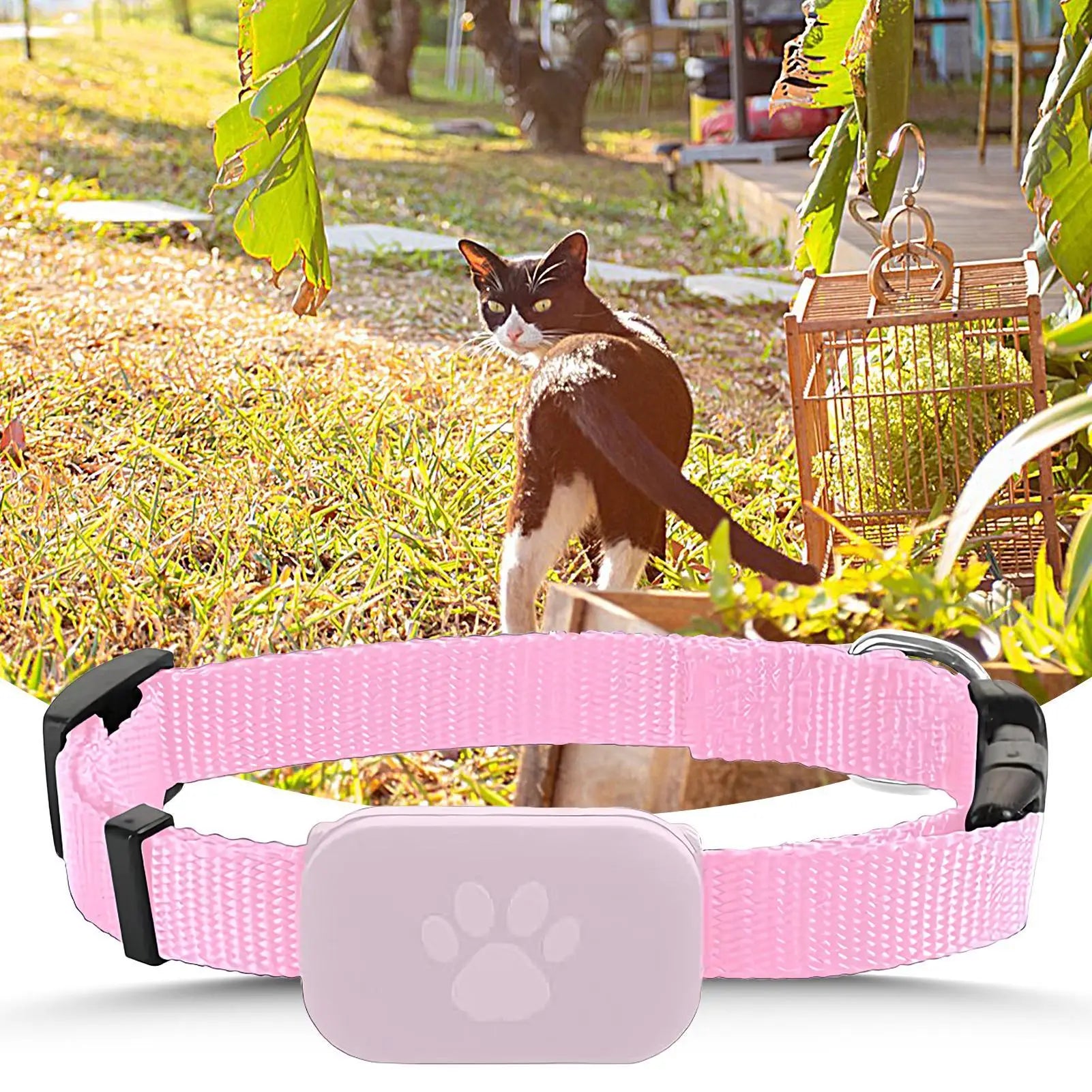 GPS Cat Collar – Safety, Freedom & Peace of Mind 🐾📍