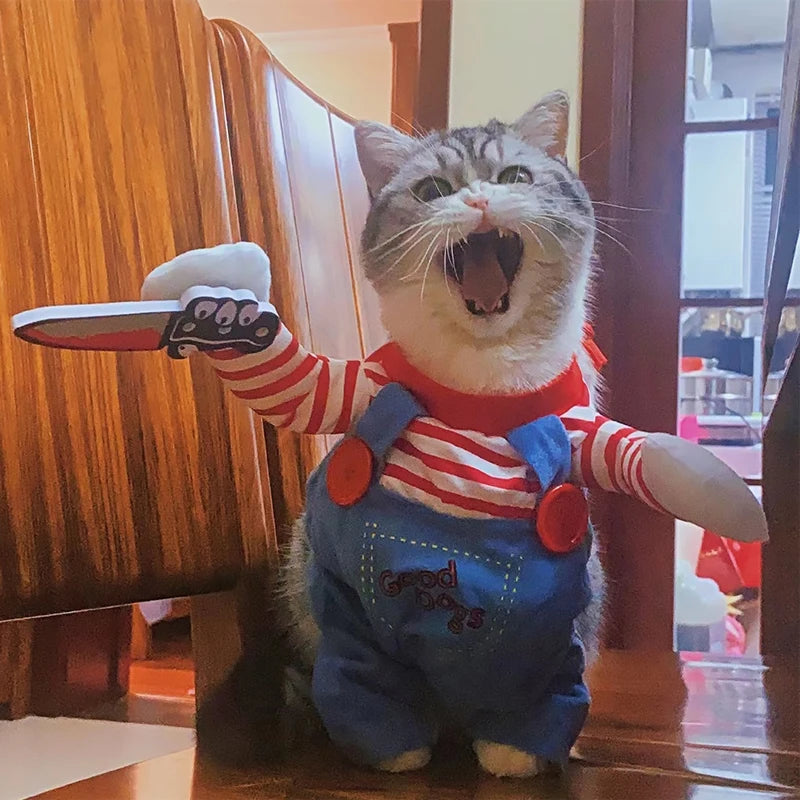 Funny Cat Halloween Costume – Spooky & Adorable
