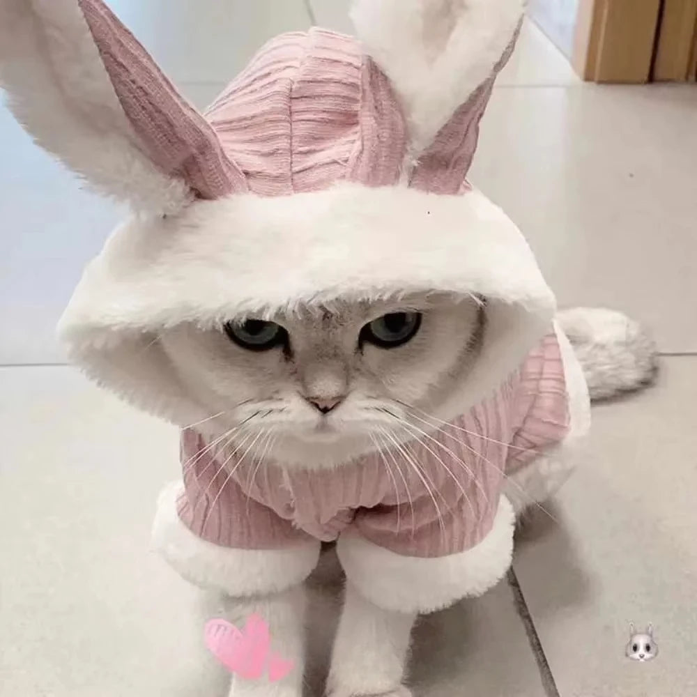 Lovable Cat Outfit – Cozy & Cute