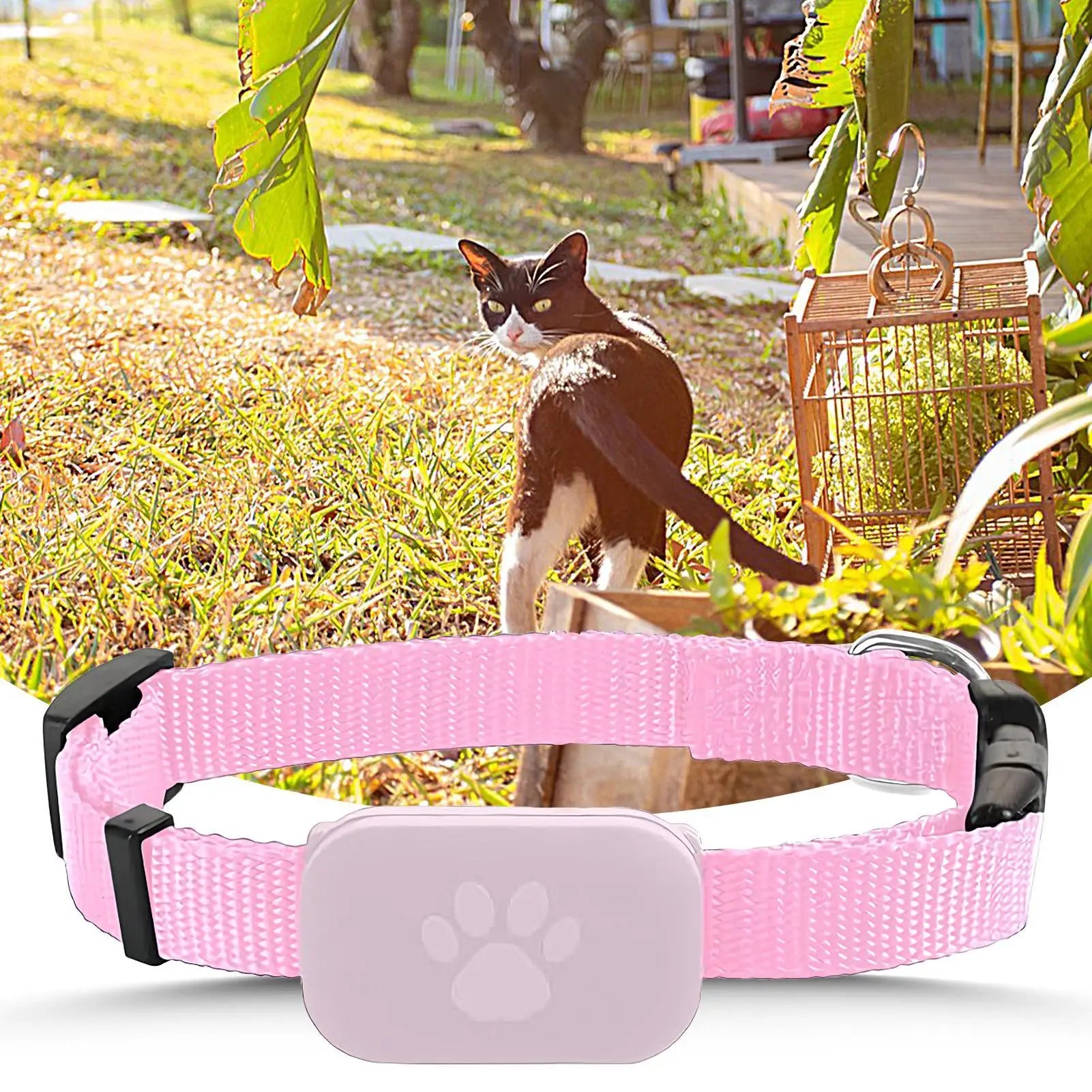 GPS Cat Collar – Safety, Freedom & Peace of Mind 🐾📍