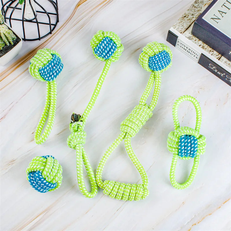 Tough Chew & Play Toy – Built for Endless Fun