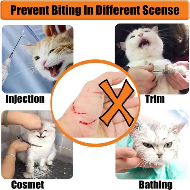 Keep your cat safe & stress-free!